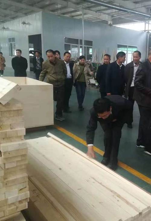 中国木材与木制品流通协会会长刘能文率考察团参观千川木门湖北生产